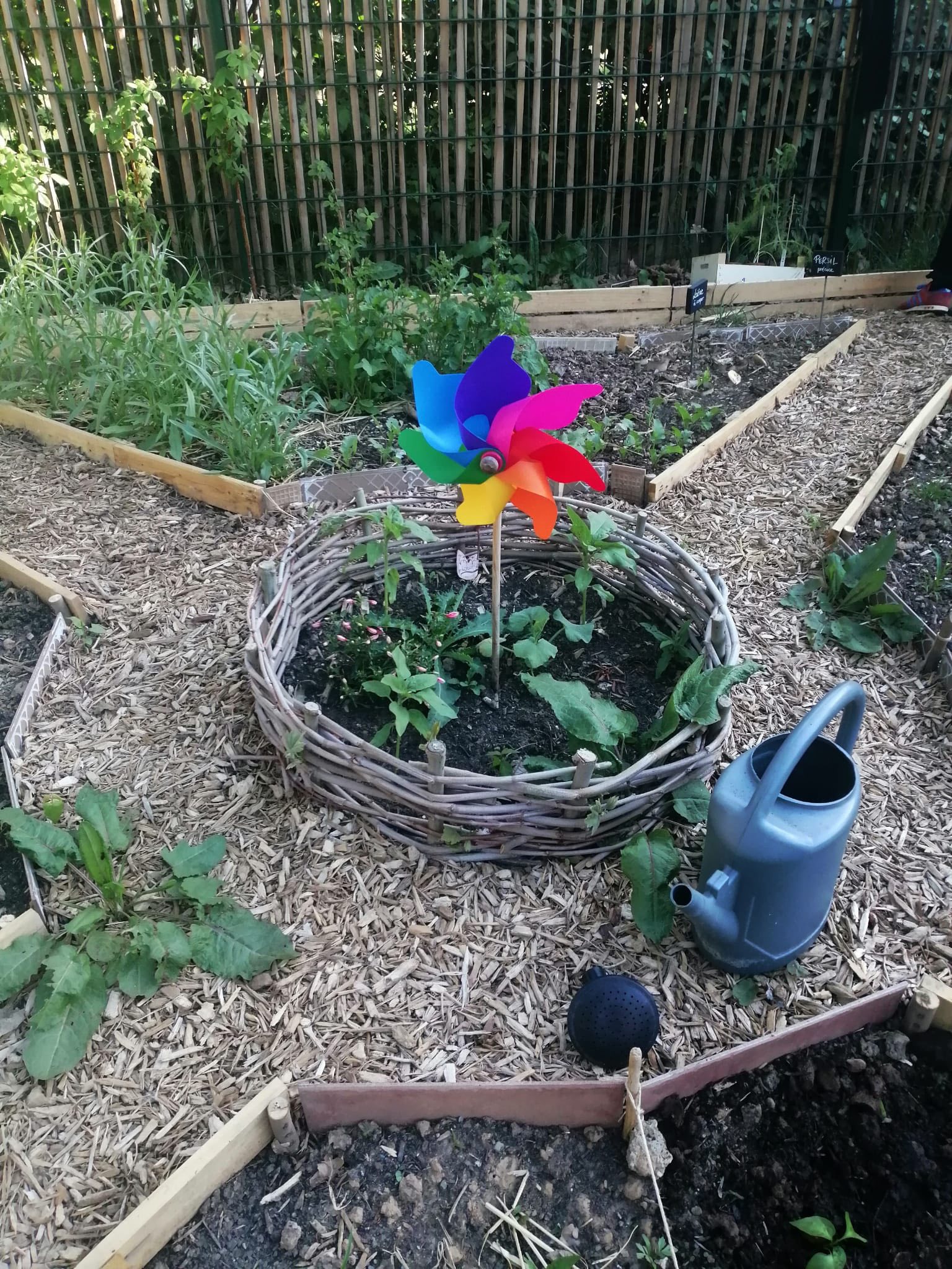 Photo du jardin partagé