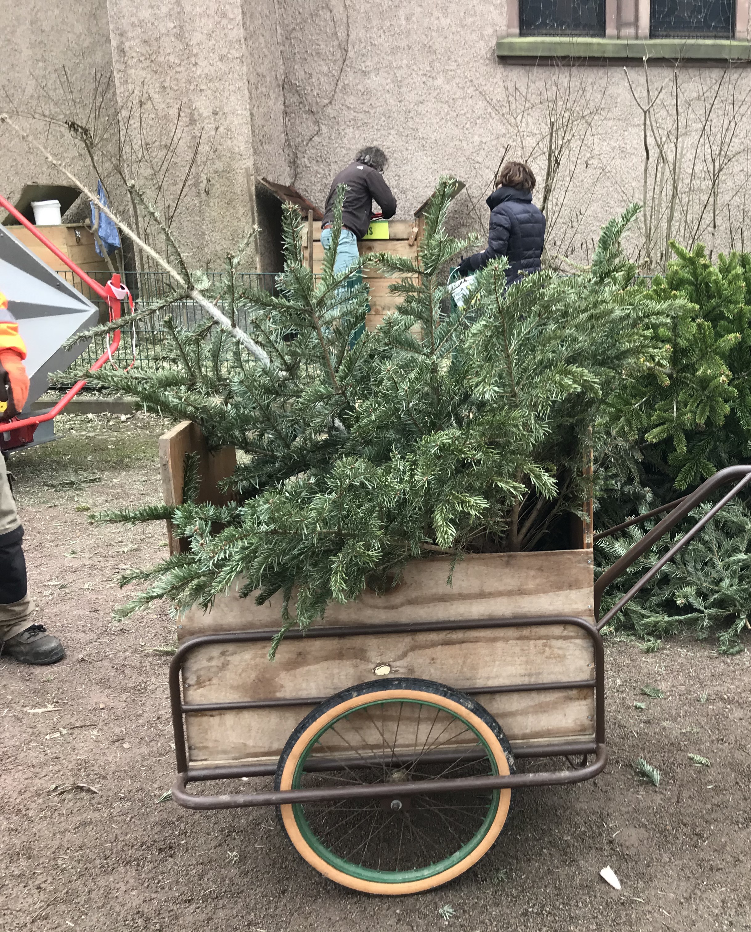 Photo d'un sapin de Noël transporté dans une remorque de vélo