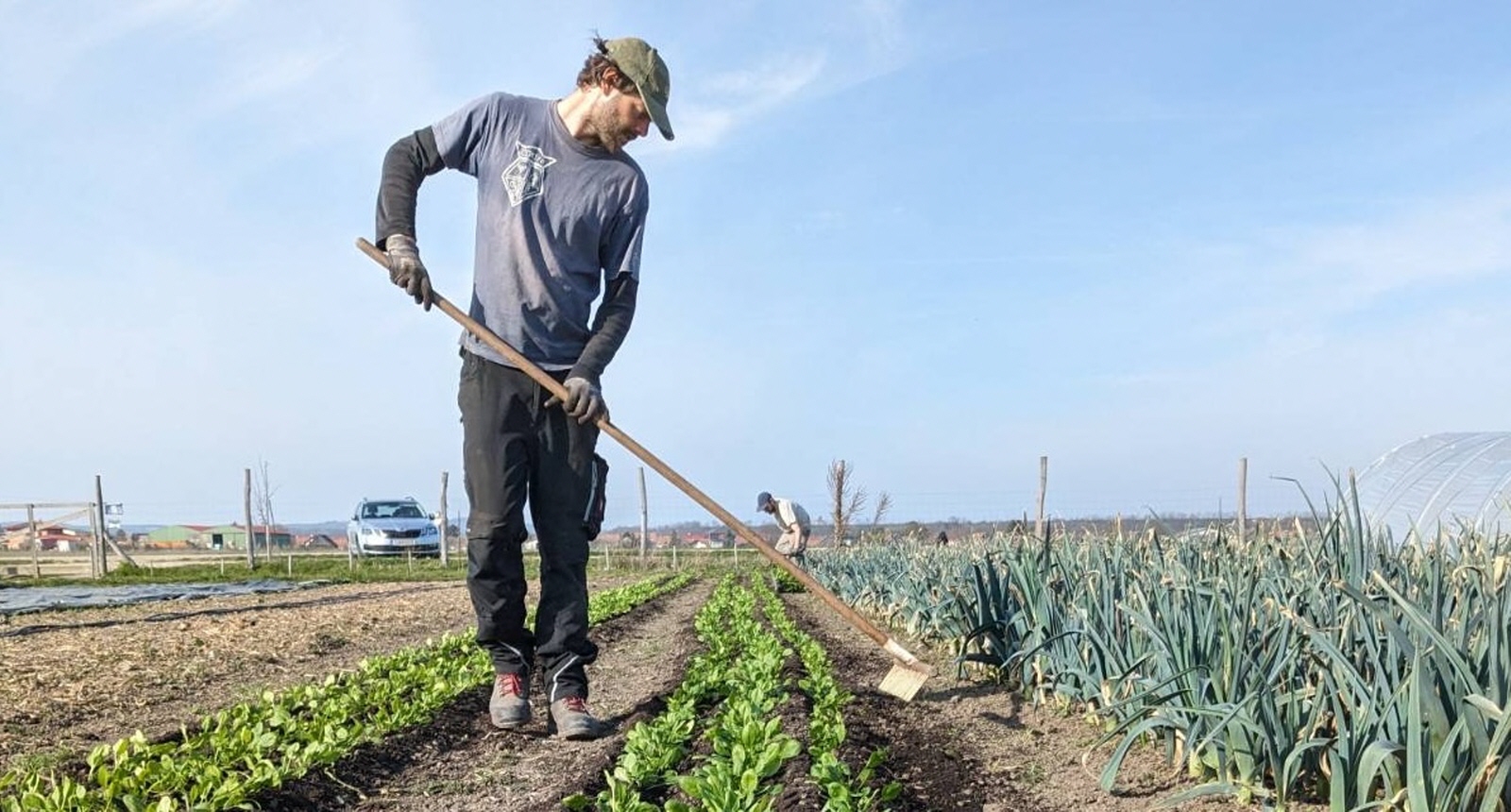 Visuel du film "Sols couverts d'espoir" - un paysan qui bine un rang de légumes